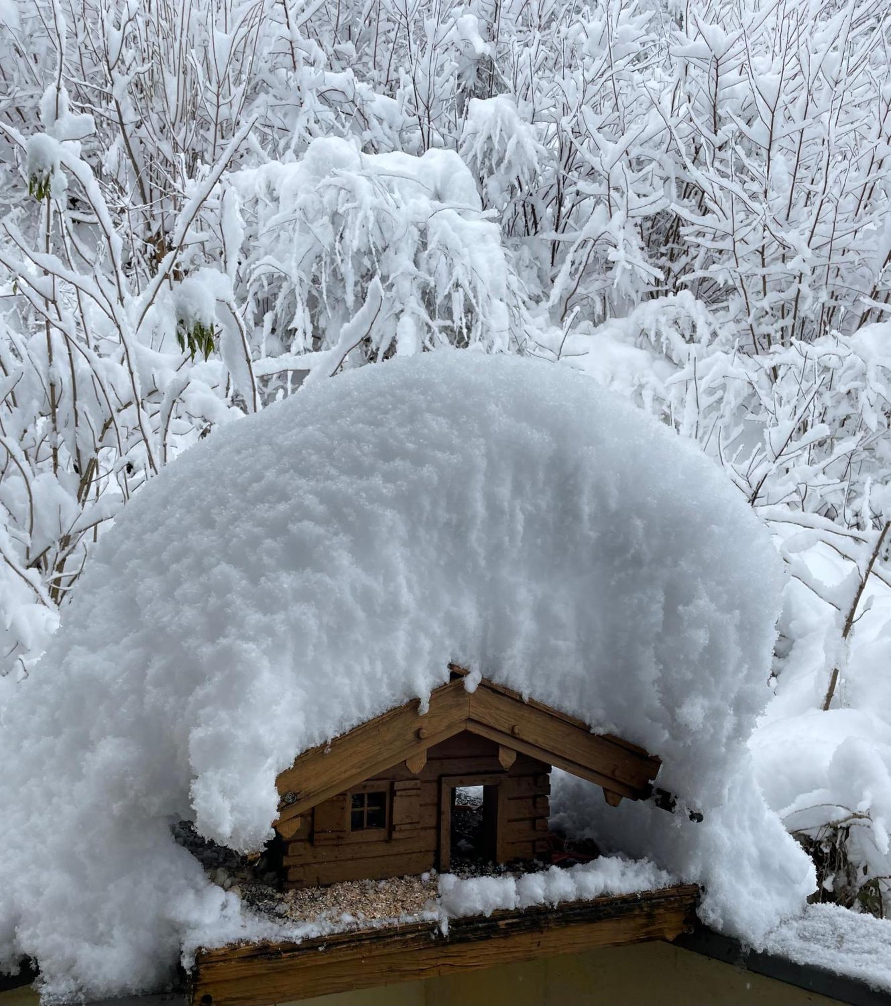 Ferienwohnung Mondial Neustift im Stubaital Ngoại thất bức ảnh