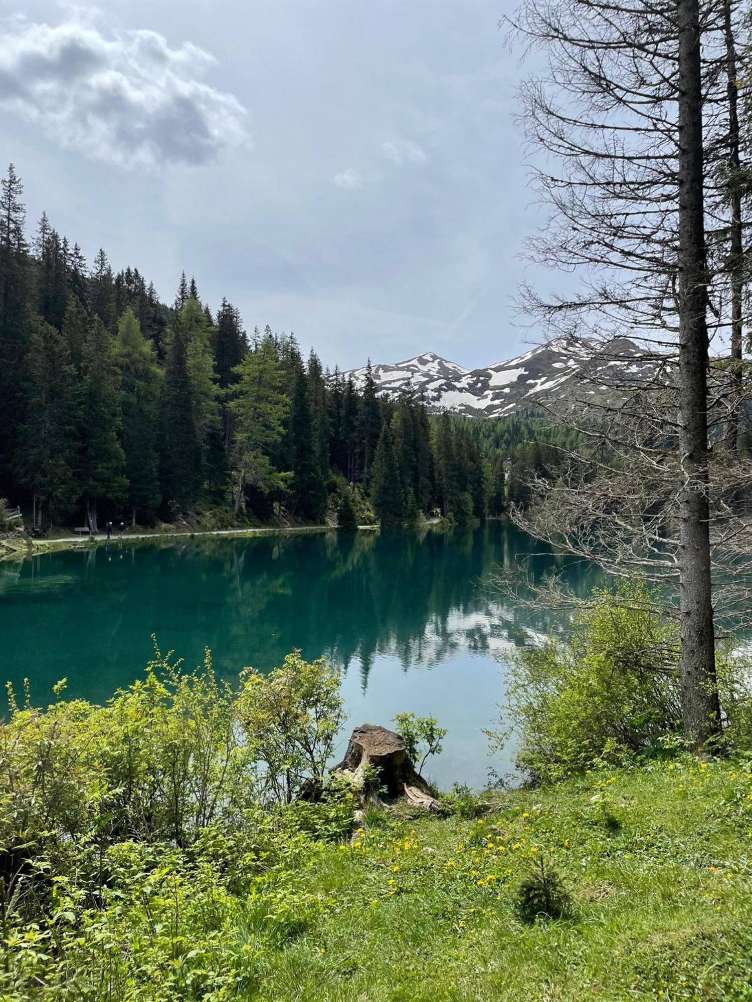 Ferienwohnung Mondial Neustift im Stubaital Ngoại thất bức ảnh
