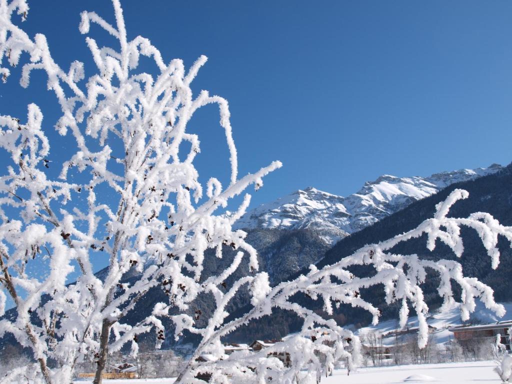 Ferienwohnung Mondial Neustift im Stubaital Ngoại thất bức ảnh